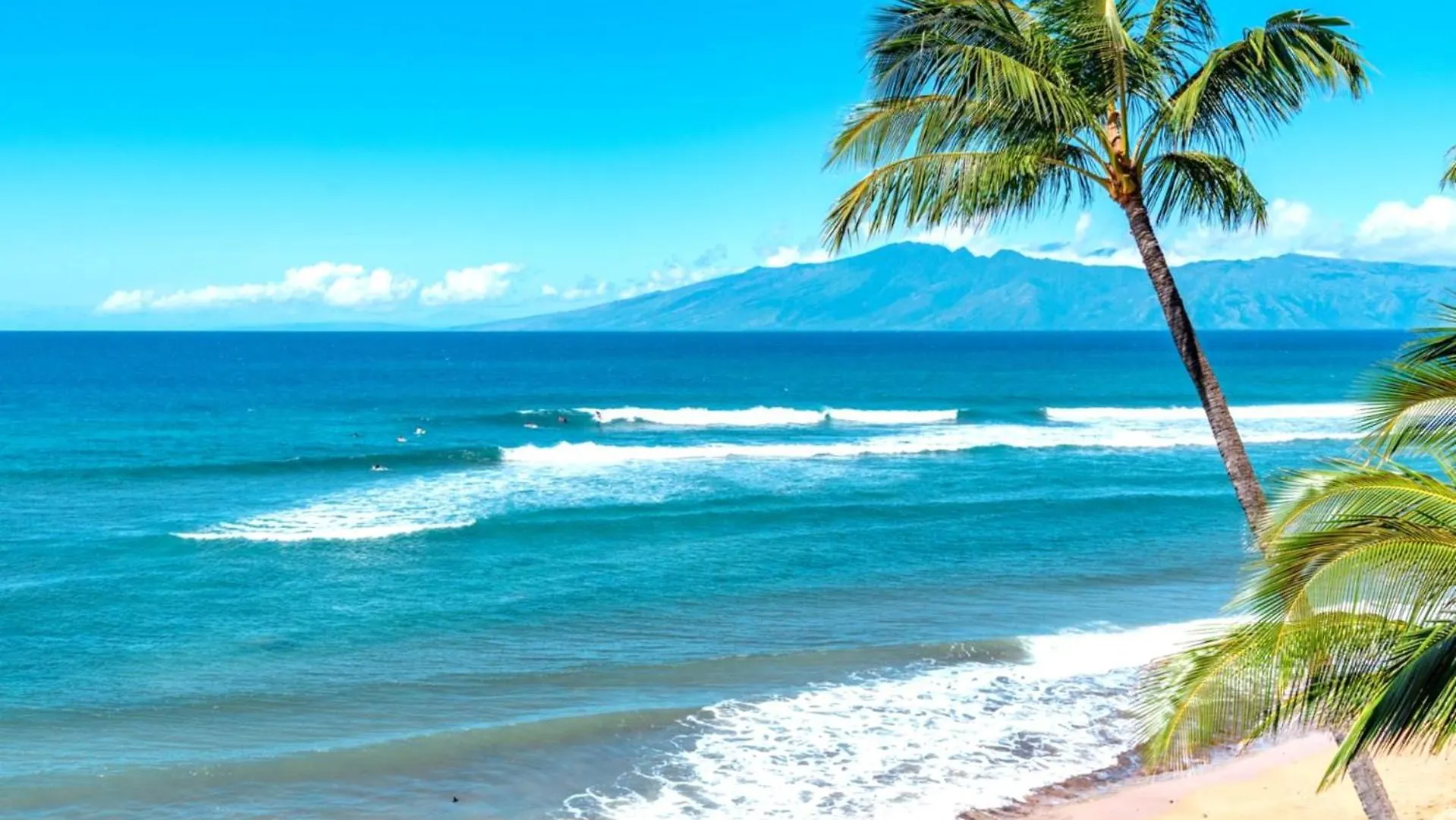 Kbm Resorts Free Car Honua Kai Hokulani Ocean View 2Bedroom Condo Hkh-425 Platinum Collection 2024 Remodel Expansive Ocean Views カアナパリ